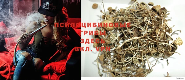 круглые Алзамай